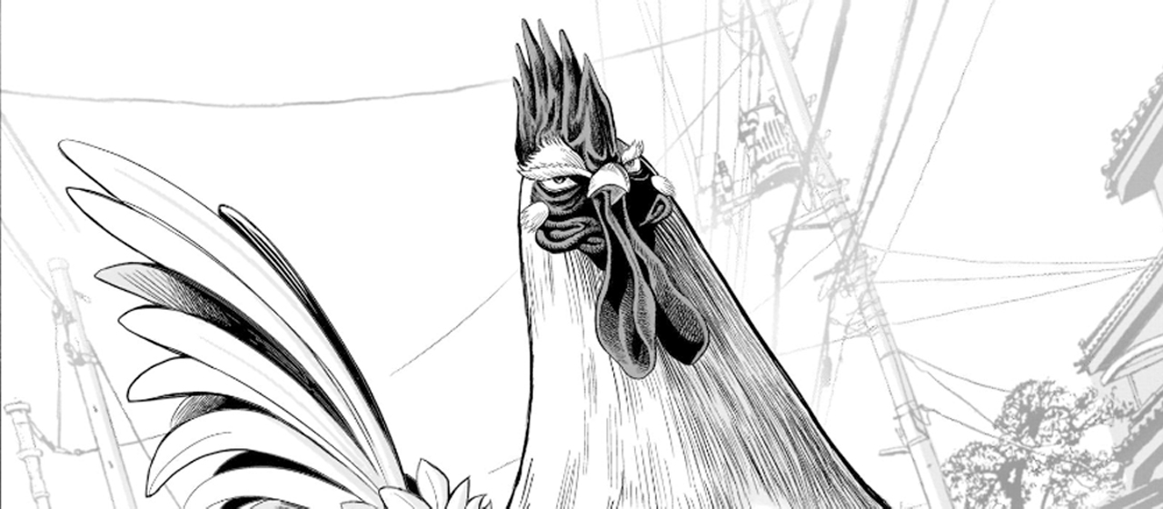 What the Cluck Is the Rooster Fighter Manga